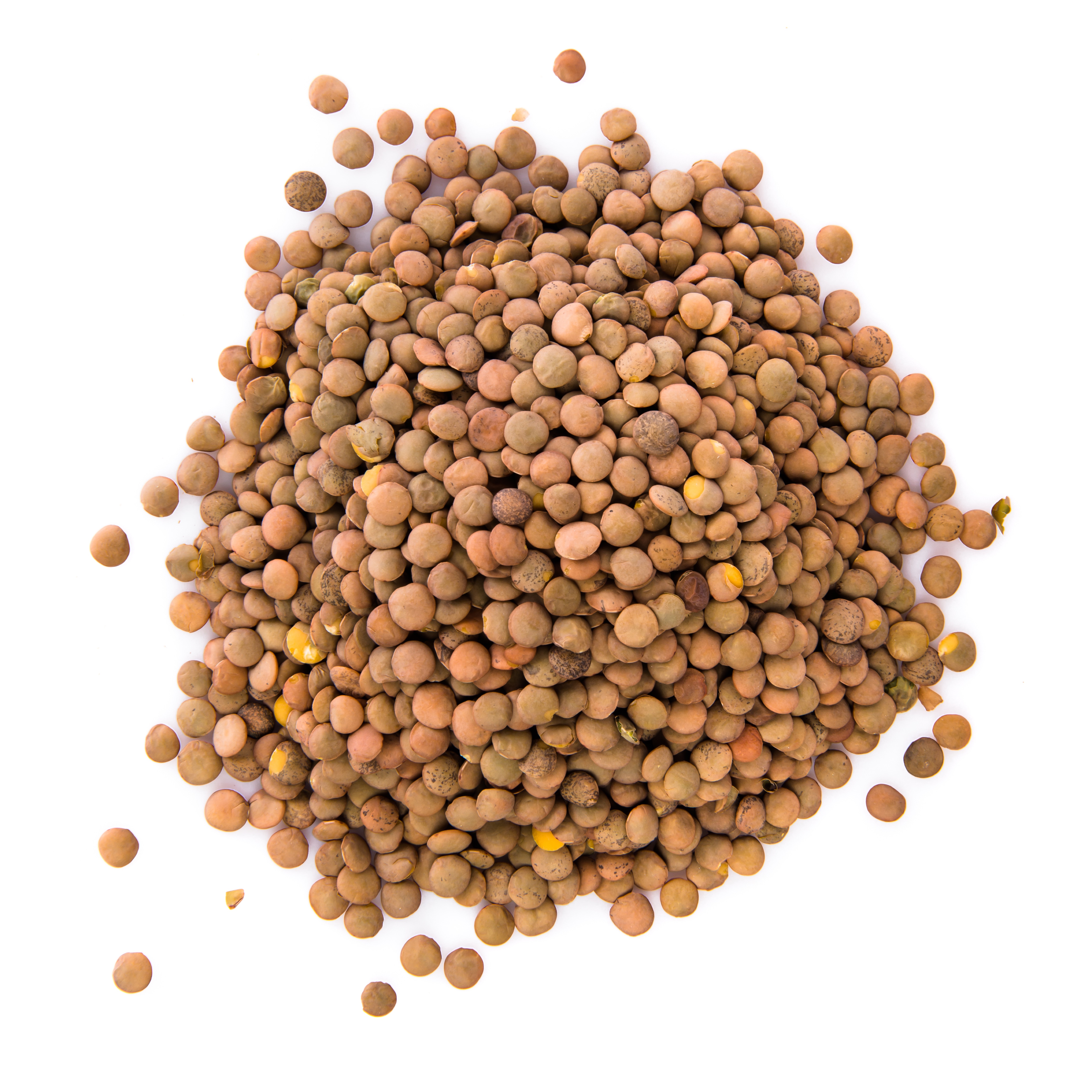 Red Lentils